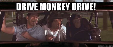 Drive Monkey Drive! - Grandmas Boy monkey drive - quickmeme