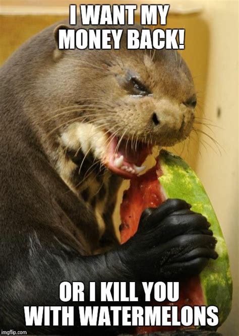 Self Loathing Otter Meme - Imgflip