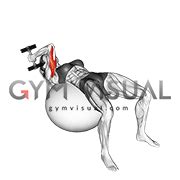Dumbbell One Arm French Press on Exercise Ball (female)