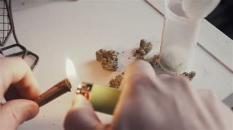 185 Marijuana Joint Lit Stock Videos, Footage, & 4K Video Clips - Getty ...