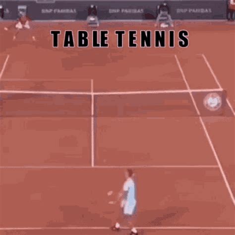 Table Tennis Quinton GIF - Table Tennis Quinton Quinted - Discover & Share GIFs
