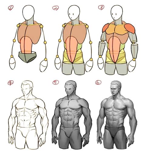 @art_reference_tips 在 Instagram 发布：“Anatomical composition study and ...