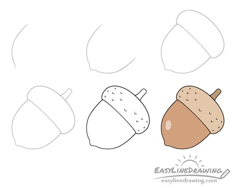 How to Draw an Acorn Step by Step - EasyLineDrawing