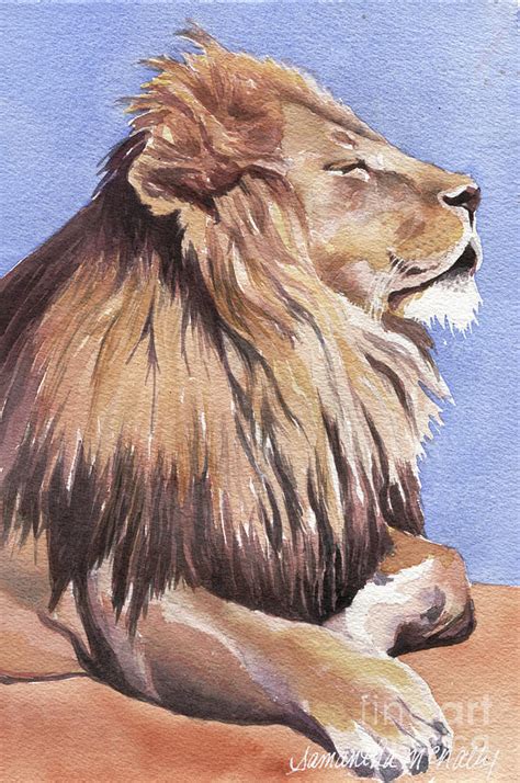 Lion in the Sun Painting by Samantha McNally - Pixels