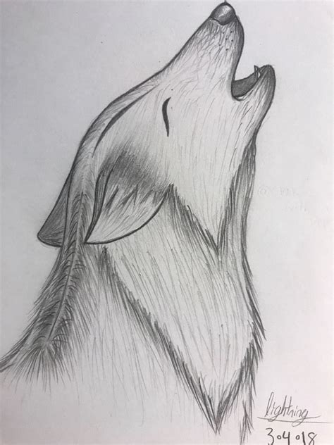 Pencil Drawings Of Animals Easy How To Draw An Easy Wolf