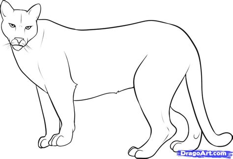 Puma Easy Drawing Sketch Coloring Page