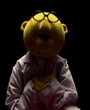 Dr. Bunsen Honeydew | Muppet Wiki | Fandom