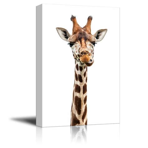 wall26 Canvas Wall Art - A Giraffe - Giclee Print Gallery Wrap Modern ...