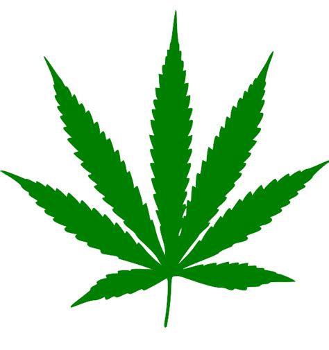 File:Cannabis leaf.svg - Wikimedia Commons