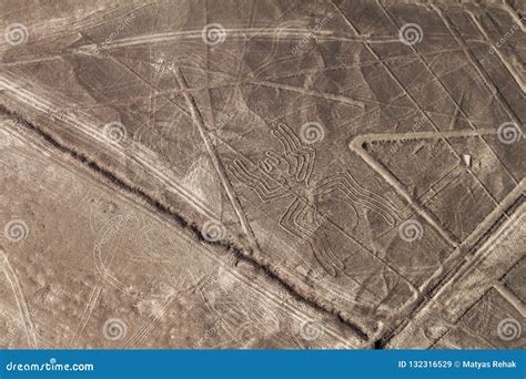 Nazca Lines stock image. Image of arid, nazca, america - 132316529