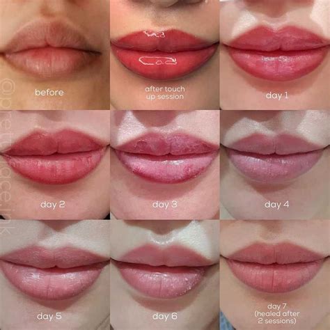 Lip Blush Healing Process - Day by Day Timeline and Stages Tattoo Healing Stages, Tattoo Healing ...