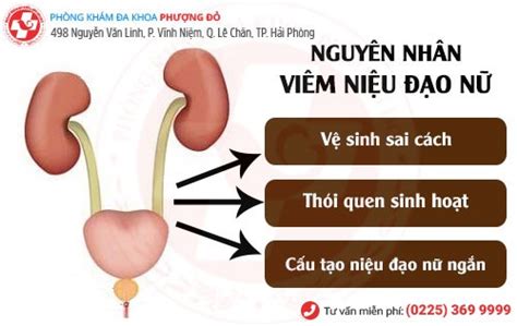 Viêm niệu đạo nữ sẽ không khỏi nếu bỏ qua bài viết này