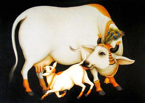 The milk of our second mother, Indian cow or ‘Gomatha’ (Most liked Post)