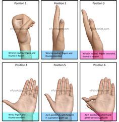 17 Ulnar Nerve PT Exercises ideas | ulnar nerve, hand therapy, nerve