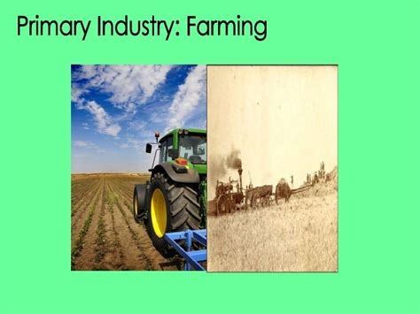 Primary Industry Farming