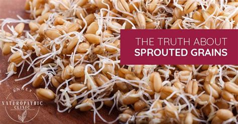 The Truth About Sprouted Grains - Annex Naturopathic Clinic