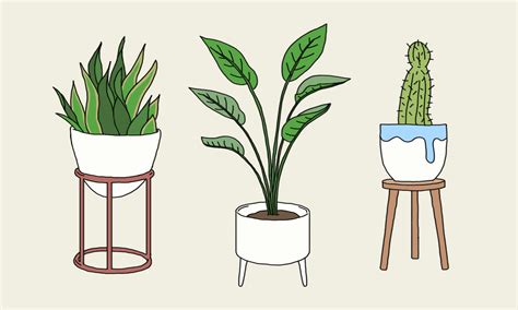 So, You’re A Millennial Obsessed With Houseplants? Join The Club ...