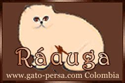 #Paginas recomendadas: adopcion gatos y perros en Colombia, sobre gatos, de música y músicos ...
