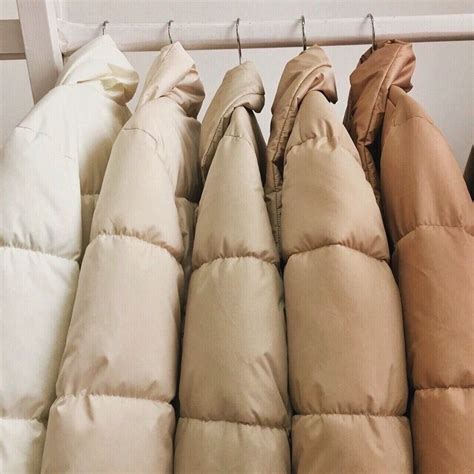 Beige Aesthetic | Beige aesthetic, Brown aesthetic, Cream aesthetic