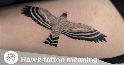 Hawk Tattoo Meaning: A Guide For Those Seeking Wisdom 2023