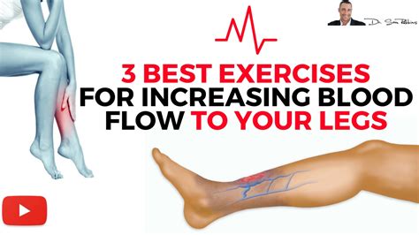 ♥ 3 Best Exercises For Increasing Blood Flow & Circulation To Your Legs - by Dr Sam Robbins ...