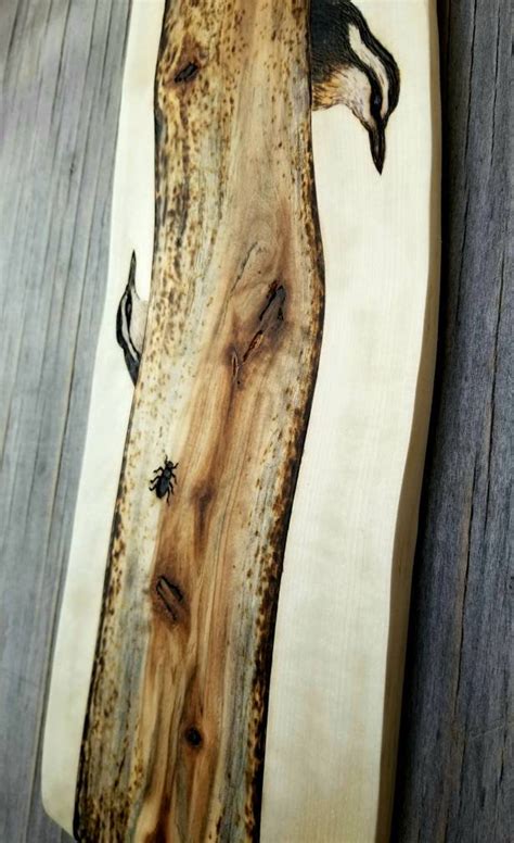 Nuthatch Birds Nature Wall Art Original on Wood | Etsy