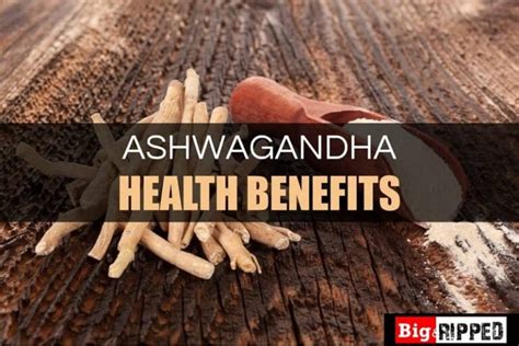 Ashwagandha And Testosterone: Benefits, Side Effects & Dosage