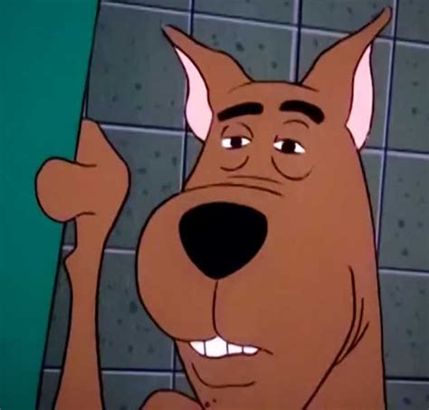 Scooby Doo Funny Face