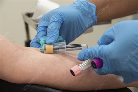 Blood sampling - Stock Image - C048/1341 - Science Photo Library