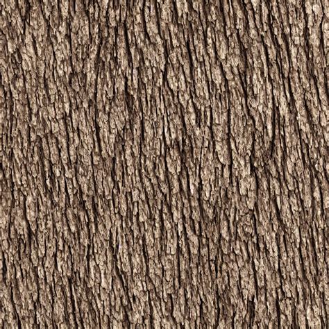 oak tree bark material texture, high detail, high | Stable Diffusion