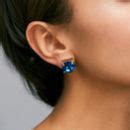 Swarovski Crystal Earrings By Apache Rose London | notonthehighstreet.com