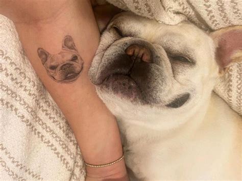 What Is A Tattoo On A Dog