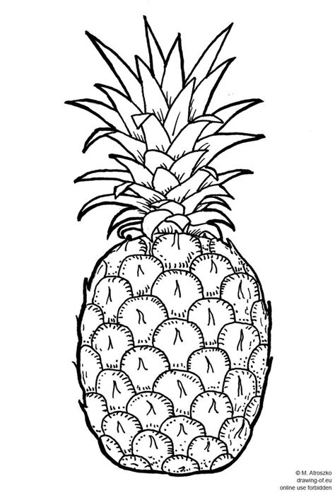 Line art illustrations | Pineapple drawing, Drawings, Illustration art