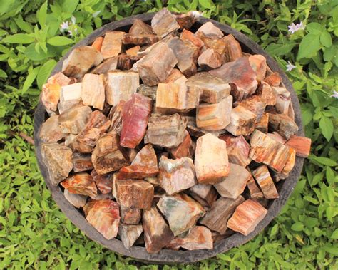 Raw Petrified Wood: Choose 4 oz 8 oz 1 lb or 2 lb Loose Bulk | Etsy