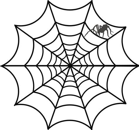 Spider web Drawing - spider png download - 2400*2234 - Free Transparent ...
