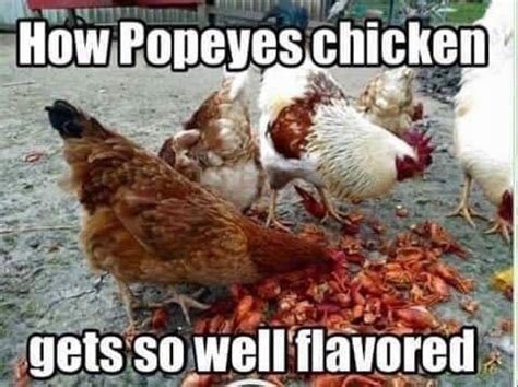 Pin by Sylvia AGP on Nola Ha Ha | Popeyes chicken