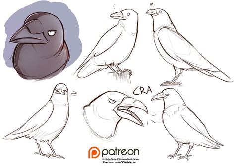 Raven reference sheet | Kibbitzer | Pinterest | Dibujos técnicos, Anatomía y Tutoriales