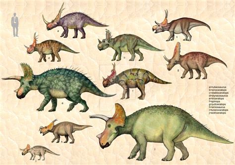 Ceratopsia 1 | Dinosaur posters, Prehistoric animals, Dinosaur sketch