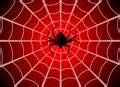 Image of graphic spider web | CreepyHalloweenImages