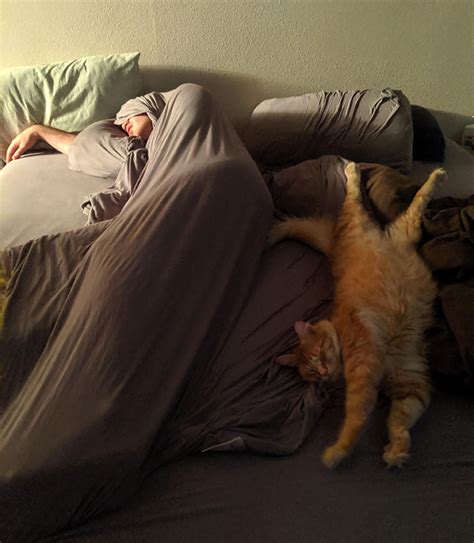 35 People Caught Napping In Funny And Uncomfortable-Looking Ways | Bored Panda