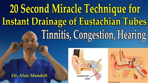 Sign in | Eustachian tube dysfunction, Ear health, Lymphatic drainage ...