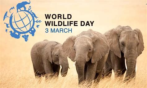 World Wildlife Day 2023: Theme, Significance, Importance, History