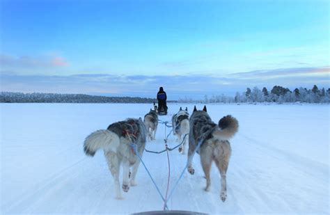 Husky Sled Trip Around Punch Bowl Glacier - Kated