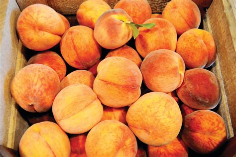 Dining In: Freestone peaches are ideal for crumb bars | The Bucks County Herald