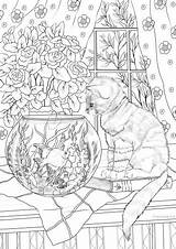 Cat And Fish – Favoreads Coloring Club sketch template