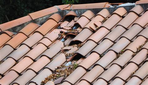 Tile Roofing Repair Services - Repairing Tiles in Olympia