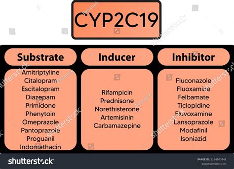 Cyp2c19 Cytochrome P450 Enzyme Pharmaceutical Substrates Stock Vector (Royalty Free) 2164803849 ...