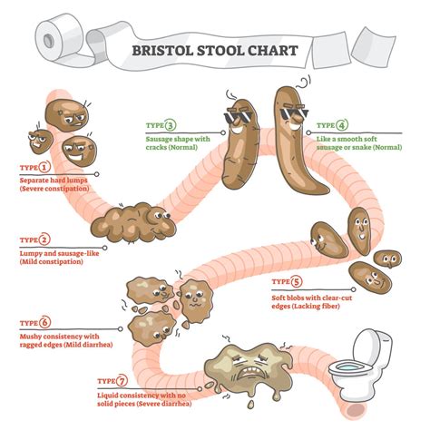 Bowel Movements, Health, and Cancer Risk - Hillandale Primary Care