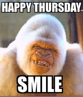 Happy Thursday SMILE! Funny Ape Monkey Thursday Meme collection | Funny thursday quotes ...