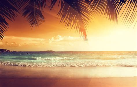 Summer Beach Sunset Wallpaper - vrogue.co